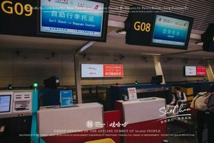 夠吸睛 娃哈哈 奢純品牌廣告霸屏杭州蕭山國際機場